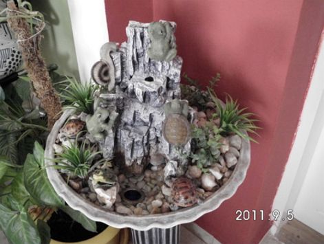 hpim0004.jpg